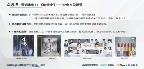 中國(guó)電視 網(wǎng)絡(luò)劇產(chǎn)業(yè)報(bào)告2020